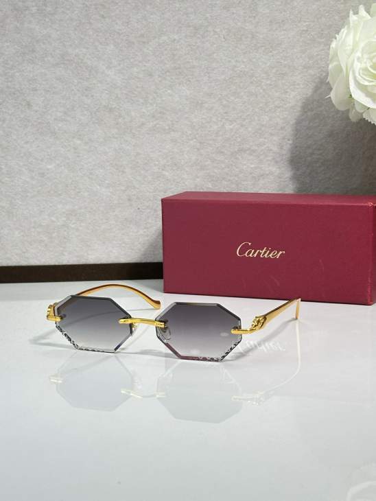 Picture of Cartier Sunglasses _SKUfw77894689fw